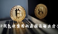 TP钱包被禁用的原因及解决方案