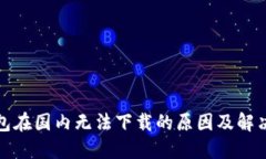 TP钱包在国内无法下载的原因及解决方案