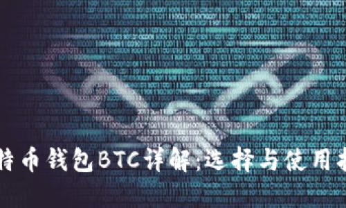 比特币钱包BTC详解：选择与使用指南