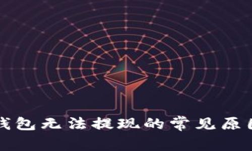 比特币Plus钱包无法提现的常见原因及解决方案