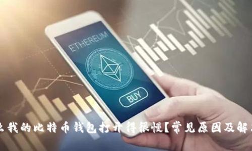 为什么我的比特币钱包打开得很慢？常见原因及解决方案
