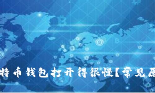 为什么我的比特币钱包打开得很慢？常见原因及解决方案